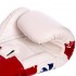 Перчатки боксерские кожаные FAIRTEX BGV1-THAI THAI PRINT 10-14 унций белый-синий-красный