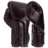 Перчатки боксерские FAIRTEX BGV14SB 10-16 унций черный