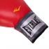 Перчатки боксерские EVERLAST PRO STYLE TRAINING EV1200007 12 унций красный