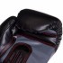 Перчатки боксерские UFC Boxing UBCF-75605 10 унций черный