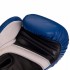 Перчатки боксерские UFC PRO Fitness UHK-75114 18 унций синий