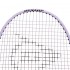 Набор для бадминтона 4 ракетки DUNLOP DL10282749 D BR BLAST SS 10 4P SET W NET G1 HO NF цвета в ассортименте