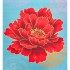 Коврик для йоги Замшевый Record FI-5662-31 размер 183x61x0,3см голубой-красный с принтом Цветок Сакуры