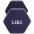Гантель для фитнеса SportTrade Радуга TA-0001-2,5 1шт 2,5кг цвета в ассортименте