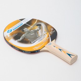 Ракетка для настольного тенниса 1 штука DONIC LEVEL 300 MT-703003 APPELGREN (древесина, резина)
