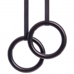 Кольца гимнастические для Кроссфита FI-928 (ленты-нейлон l-4,5м, кольцо-ABS d-23см, черный)